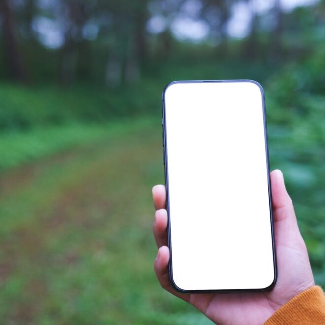 Promieniowanie z telefonu a nowotwory. Wyniki badań mówią jasno