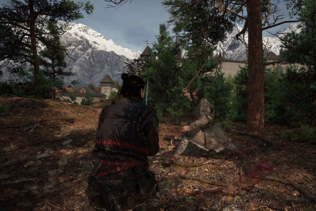 Screen z gry the blood of dawnwalker